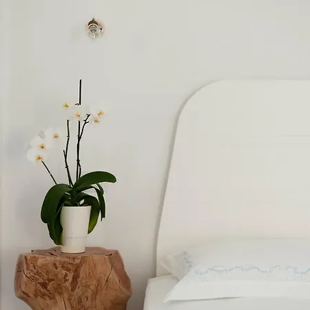 Il Pergoletto Holiday home *