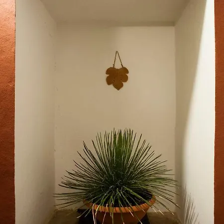 Holiday home Il Pergoletto Corsano (Apulia)