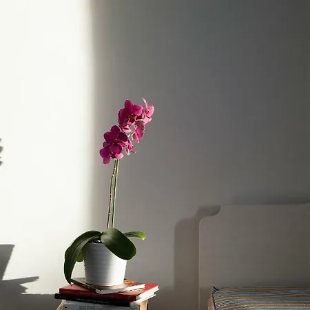 Il Pergoletto Holiday home *